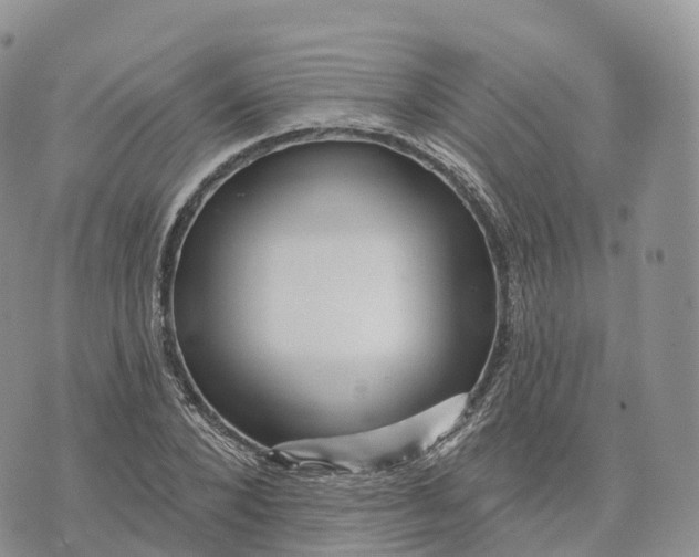 X0000072940880200608111558