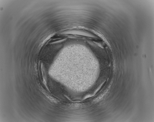 X0000072940881200608111558