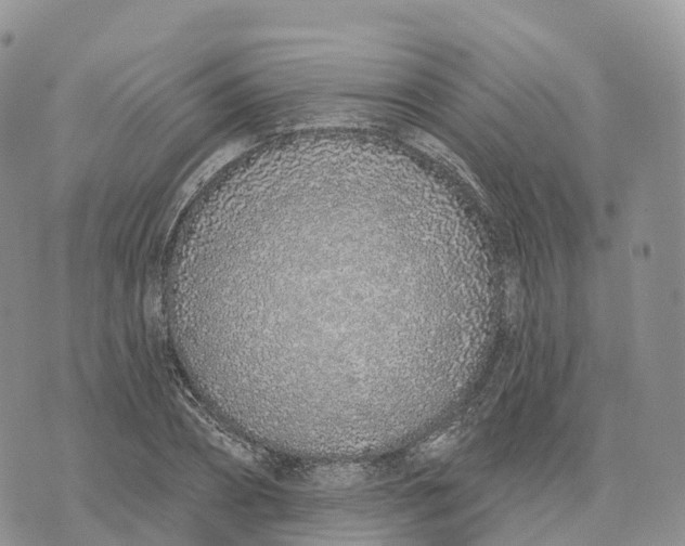 X0000072940882200608111558