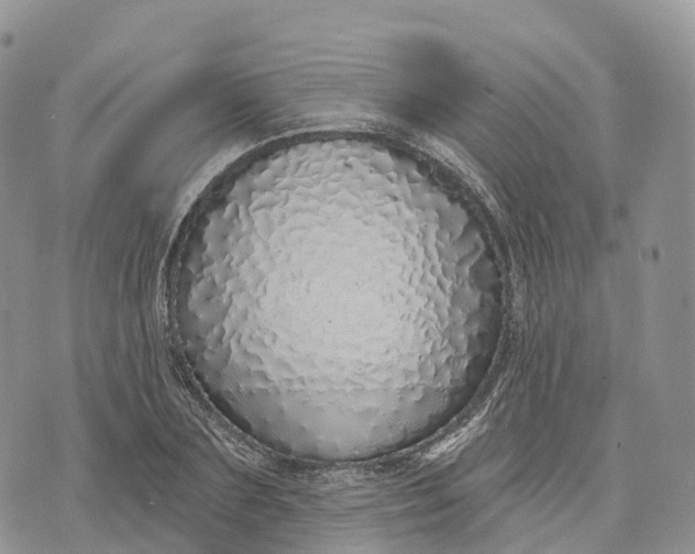 X0000072940883200608111558