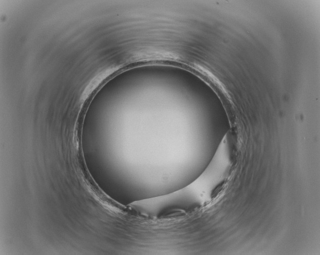 X0000072940885200608111558