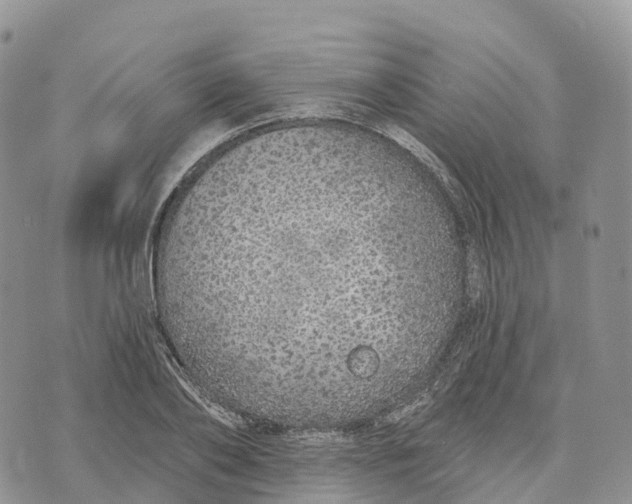 X0000072940886200608111557