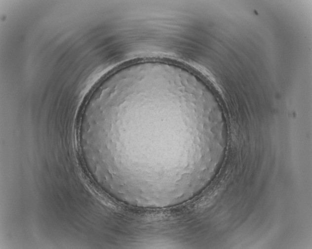 X0000072940887200608111557