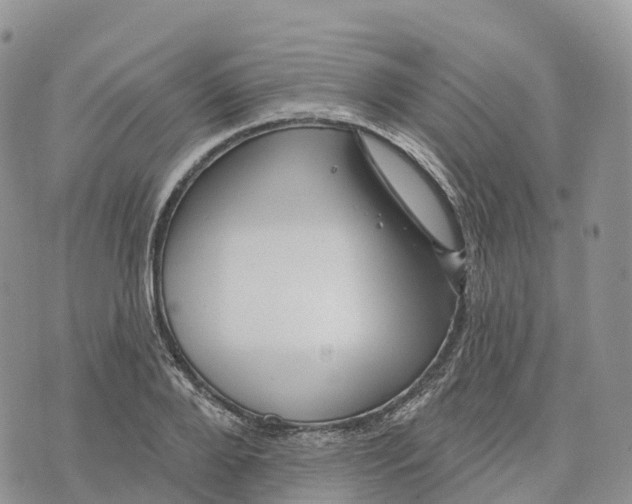 X0000072940888200608111557