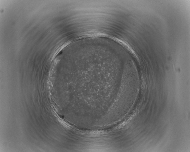 X0000072940889200608111557