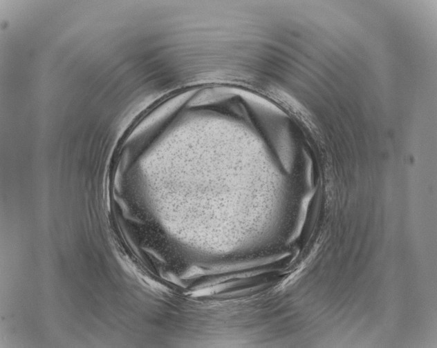 X0000072940892200608111557