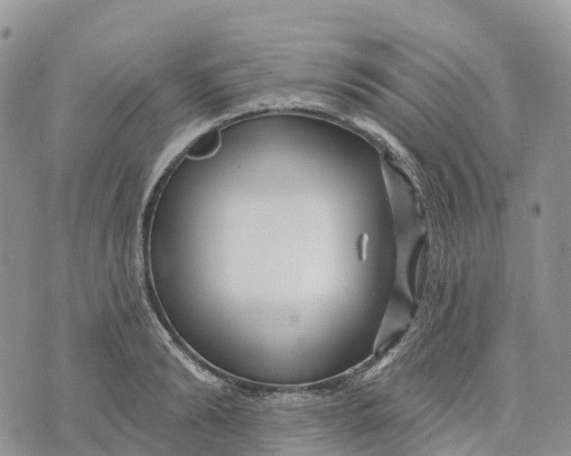 X0000072940894200608111557