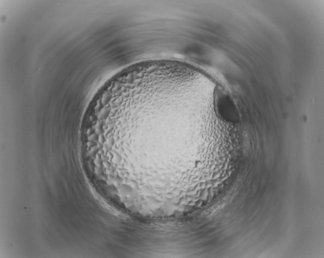 X0000072940895200608111557