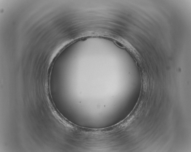 X0000072940896200608111557