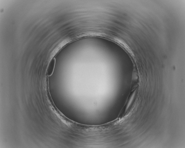 X0000072940898200608111557