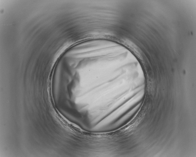 X0000072940899200608111557