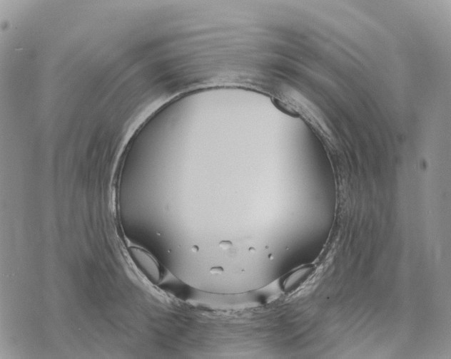 X0000072940900200608111557