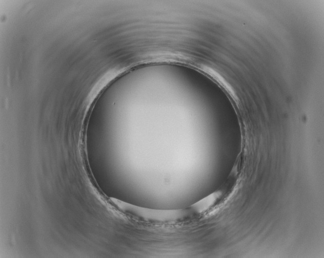 X0000072940901200608111557