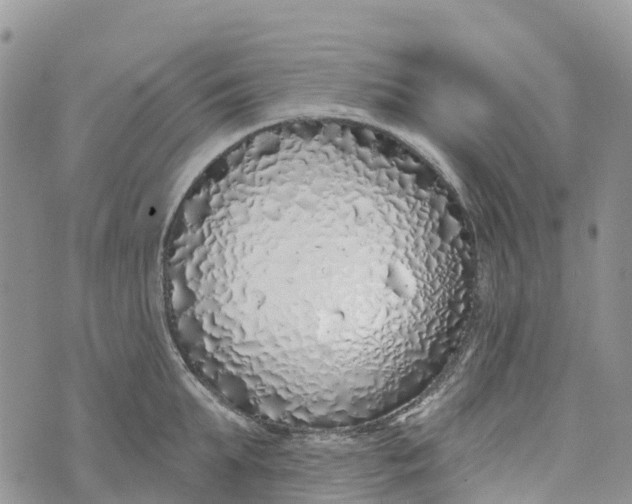 X0000072940903200608111557