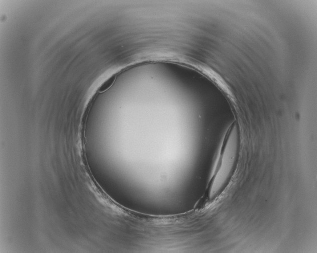 X0000072940904200608111557