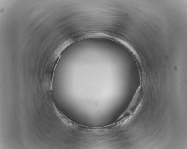 X0000072940905200608111557