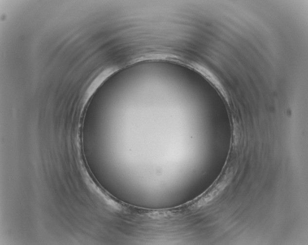 X0000072940906200608111557