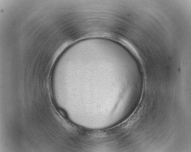 X0000072940907200608111557