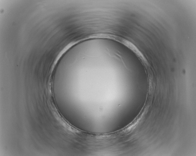 X0000072940908200608111557