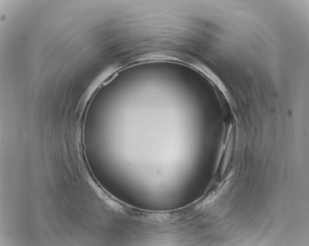 X0000072940909200608111557