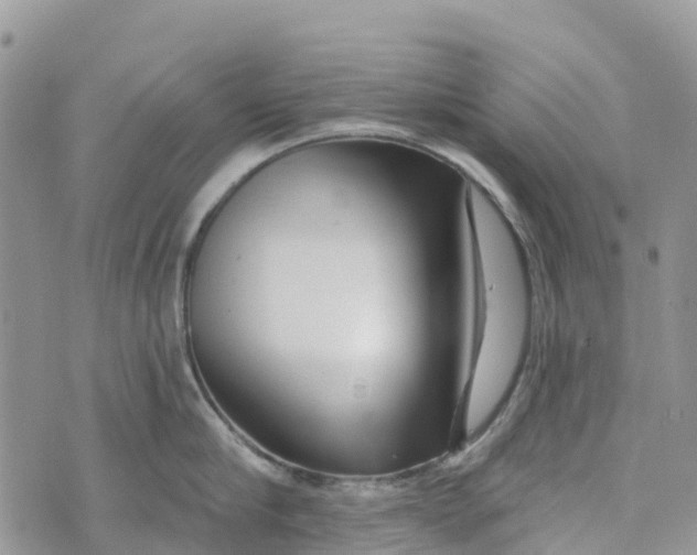 X0000072940910200608111557