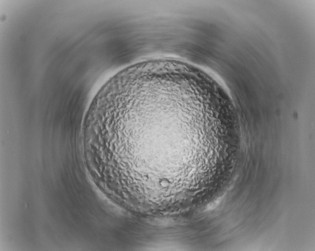 X0000072940911200608111557