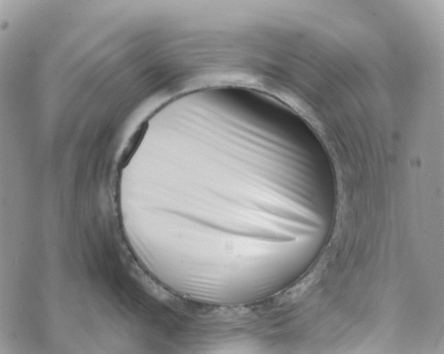 X0000072940912200608111557