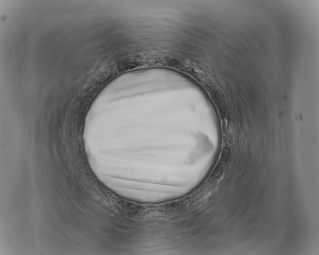 X0000072940913200608111556