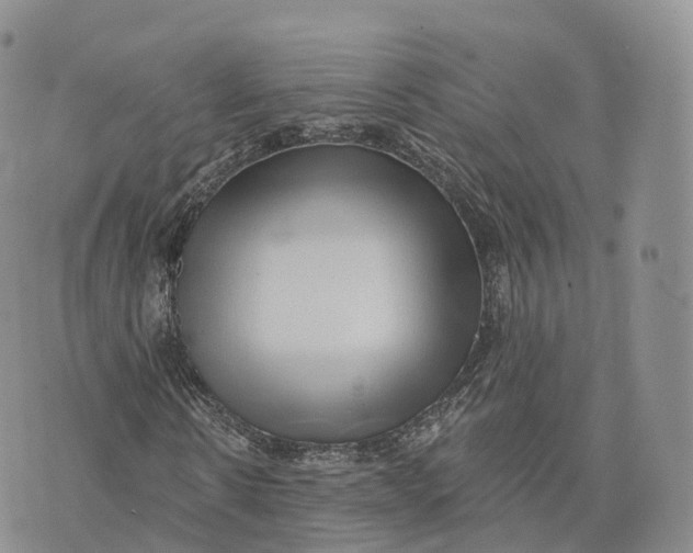 X0000072940914200608111556