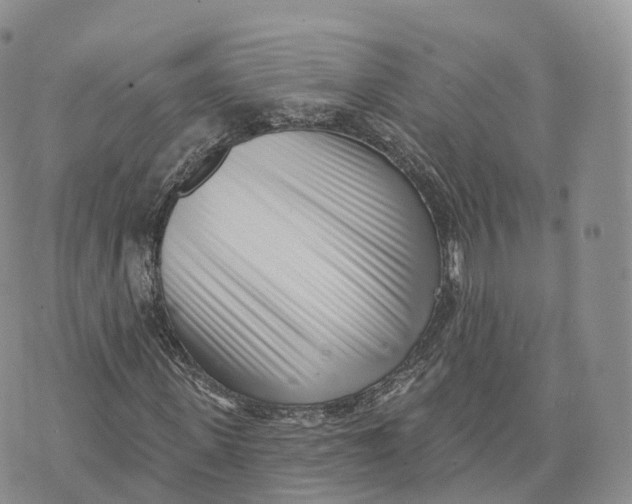 X0000072940915200608111556