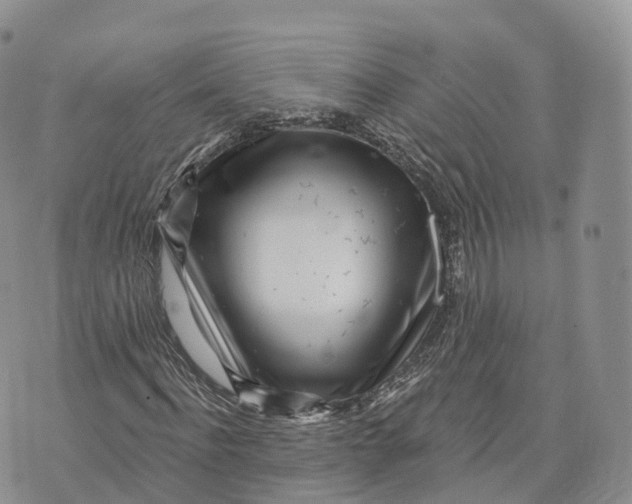 X0000072940916200608111556