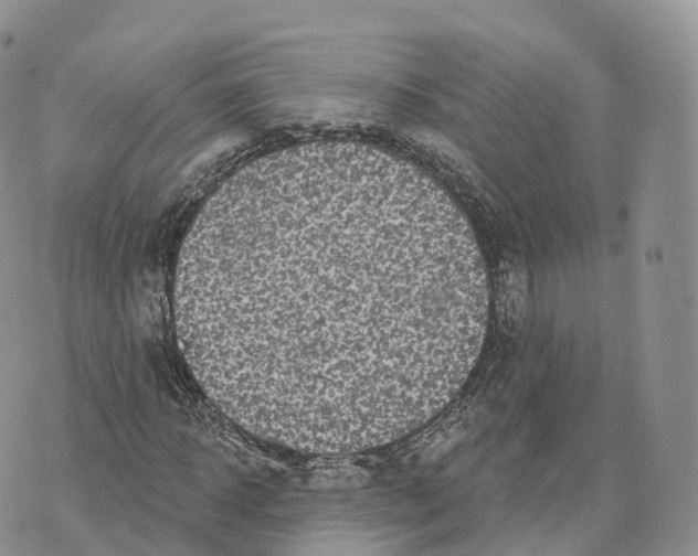 X0000072940918200608111556