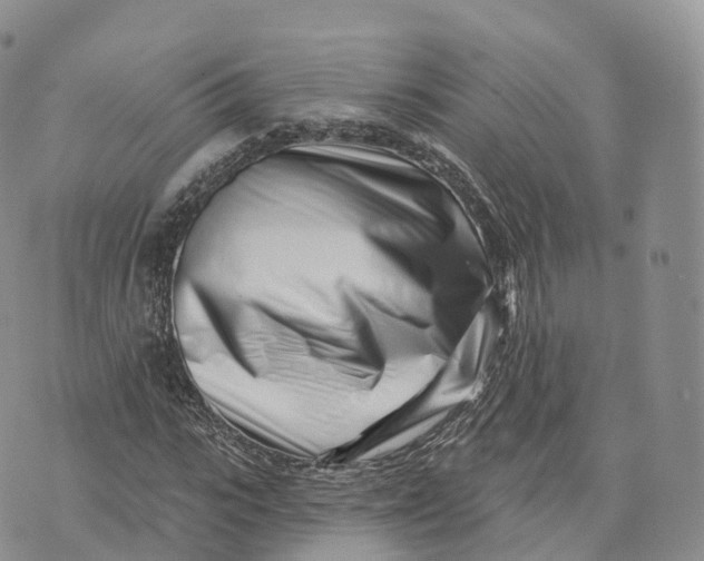 X0000072940919200608111556