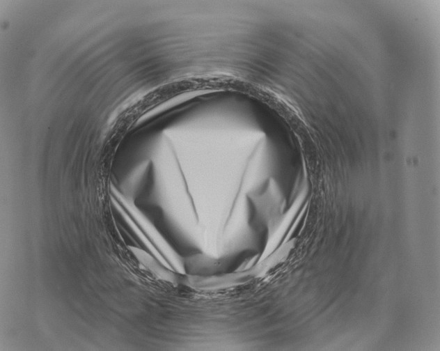 X0000072940920200608111556