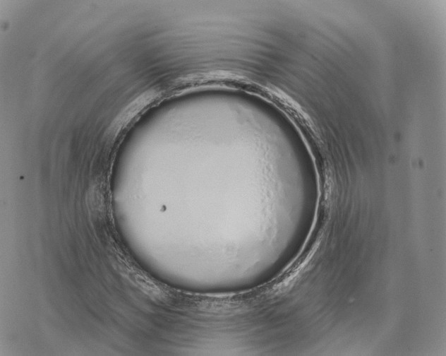 X0000072940921200608111556