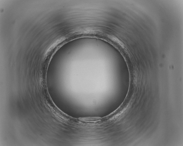 X0000072940922200608111556