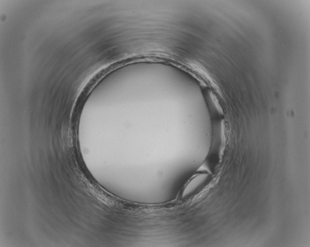 X0000072940924200608111556