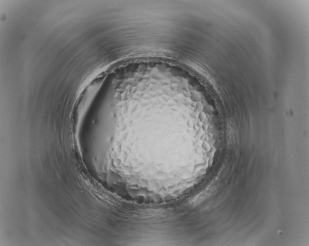 X0000072940925200608111556