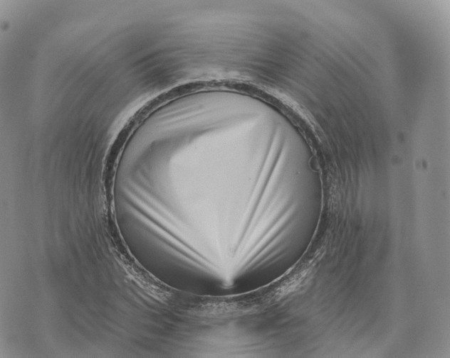 X0000072940927200608111557