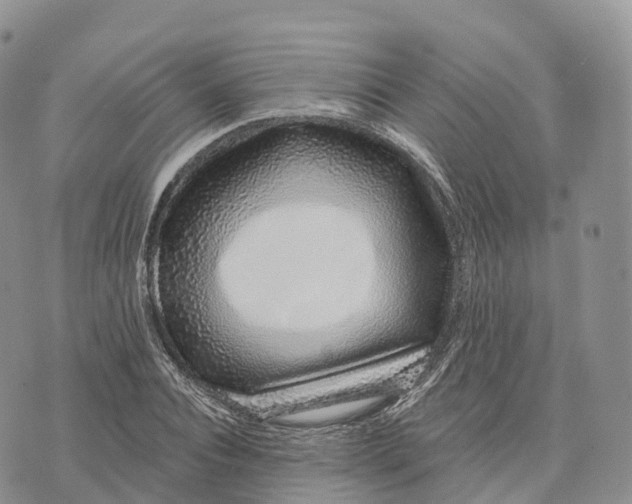 X0000072940928200608111557