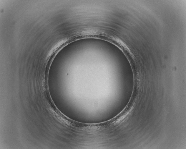 X0000072940930200608111557