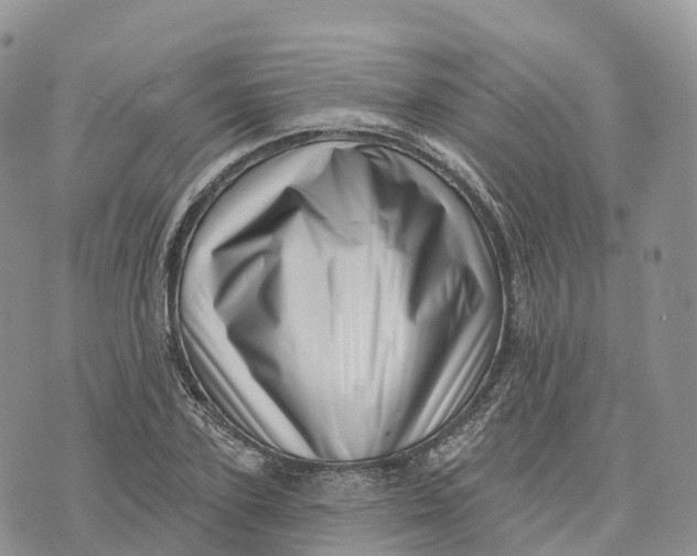 X0000072940931200608111557