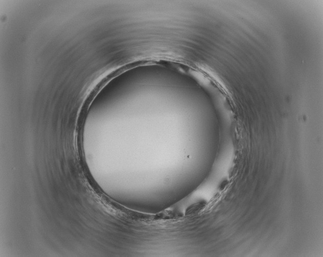 X0000072940932200608111557