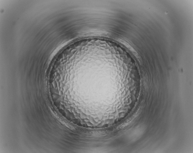 X0000072940933200608111557