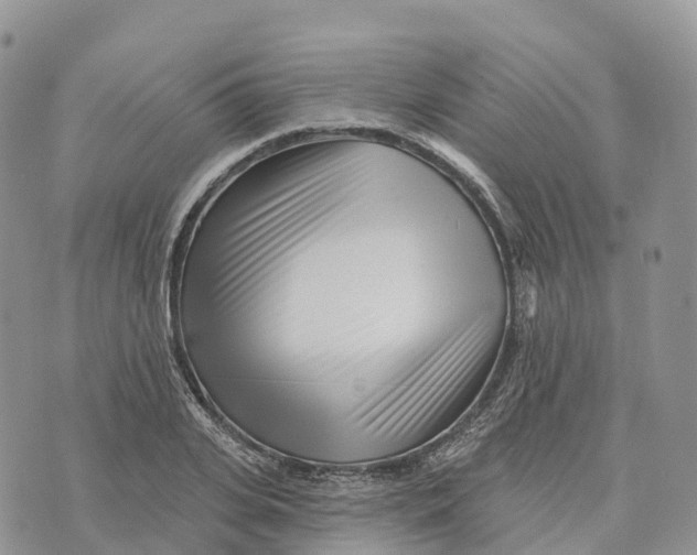 X0000072940935200608111557