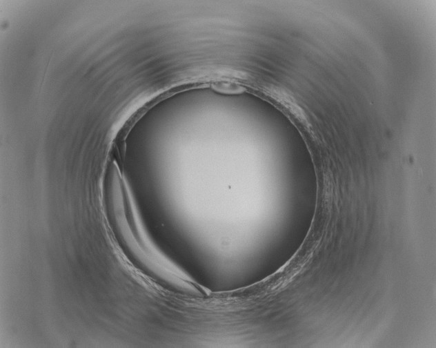 X0000072940936200608111557