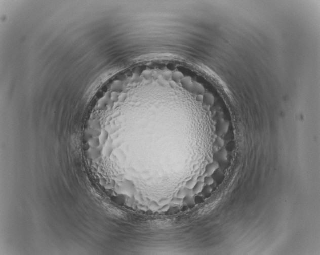 X0000072940937200608111557