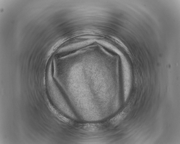 X0000072940938200608111557