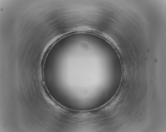 X0000072940939200608111557