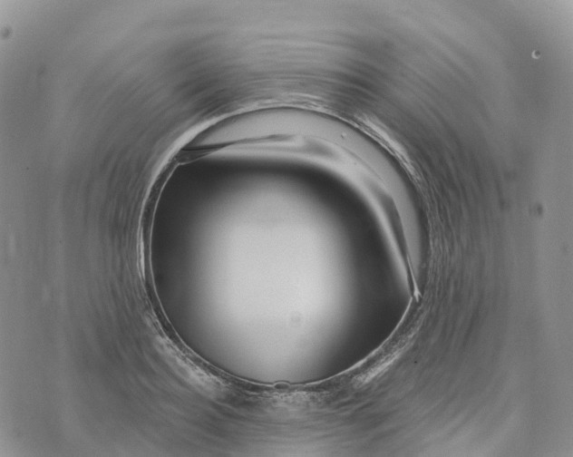 X0000072940940200608111557